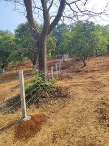 Plot / Land in Borivali