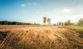 Plot / Land in Indapur