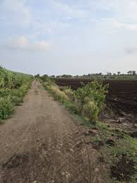 Plot / Land in Purandar